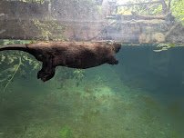 Pritzker Family Children's Zoo photo 3