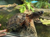 Pritzker Family Children's Zoo photo 6