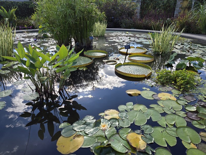 The Arboretum at Penn State photo 5