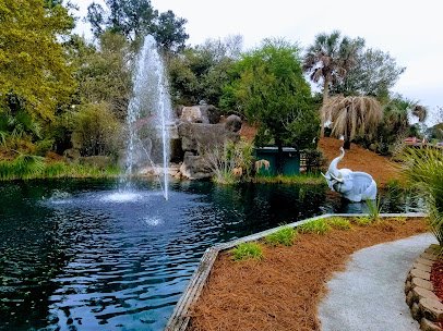 Jungle Golf photo 3