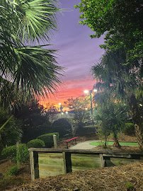 Jungle Golf photo 4