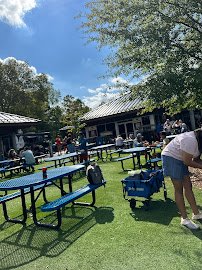 Kaleidoscope Butterfly Garden