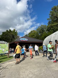 Kaleidoscope Butterfly Garden photo 4