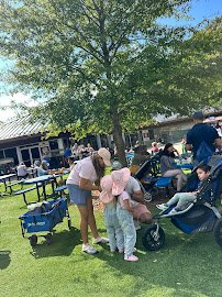 Kaleidoscope Butterfly Garden photo 5