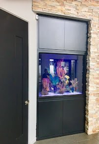 Neptune Aquarium Design - Aquarium maintenance, moving, installation and custom builds.