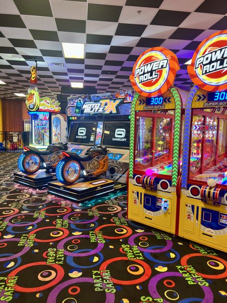 PARTY SAFARI photo 3