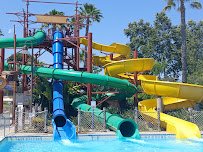 Splash! La Mirada Regional Aquatics Center photo 5
