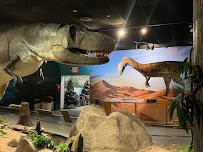 Las Vegas Science & Natural History Museum photo 3