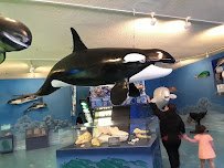 Las Vegas Science & Natural History Museum photo 4