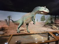 Las Vegas Science & Natural History Museum photo 5