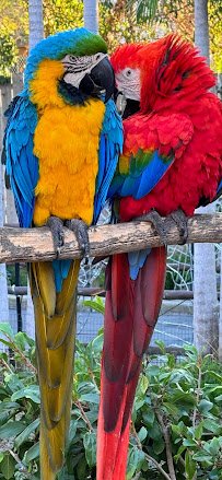 Santa Barbara Zoo photo 4