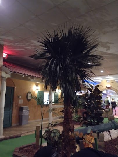 Lost Pirates Adventure Golf photo 6