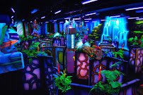 Three - Two - FUN!! photo 3