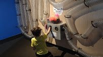 Lexington Children’s Museum photo 2