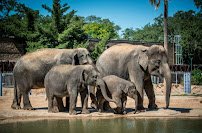 Houston Zoo photo 3