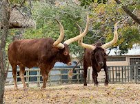 Houston Zoo photo 5