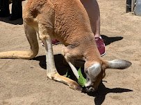 Nurtured By Nature photo 4