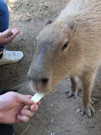 Nurtured By Nature photo 5