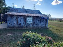 Christian Way Farm & Mini Golf photo 5