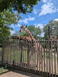 Habitat Africa! The Savannah photo 6