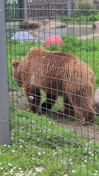 Great Bend Brit Spaugh Zoo photo 2
