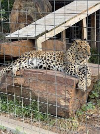 Great Bend Brit Spaugh Zoo photo 4