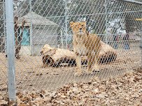 Great Bend Brit Spaugh Zoo photo 5