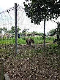 Great Bend Brit Spaugh Zoo photo 6