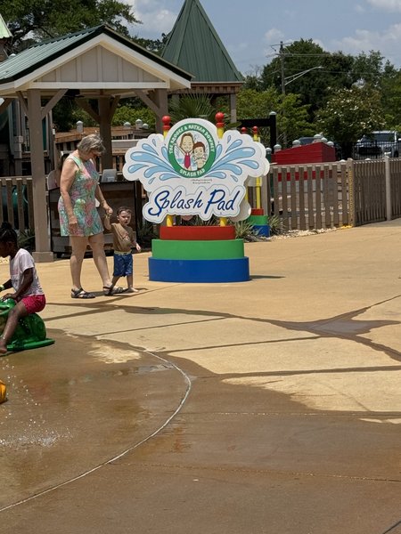 Thomasville Children's Park and Splash Pad photo 3