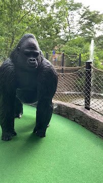 Essex County Safari MiniGolf photo 2