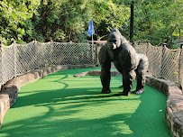 Essex County Safari MiniGolf photo 3