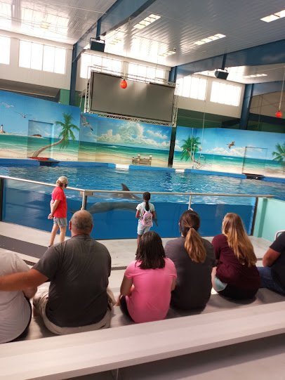 Ocean Adventures Marine Park photo 3