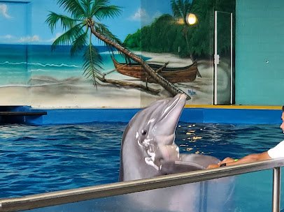 Ocean Adventures Marine Park photo 4