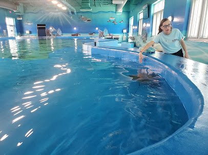 Ocean Adventures Marine Park photo 5