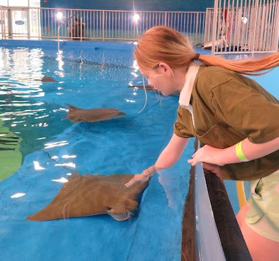 Ocean Adventures Marine Park photo 6