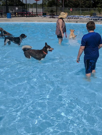 Super Splash Park photo 6
