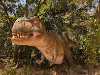 Heard Natural Science Museum & Wildlife Sanctuary photo 3