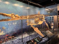 Heard Natural Science Museum & Wildlife Sanctuary photo 5