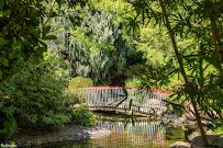 San Diego Zoo Terrace Lagoon photo 3