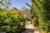 San Diego Zoo Terrace Lagoon photo 4