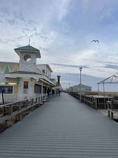 South Beach Arcade photo 3