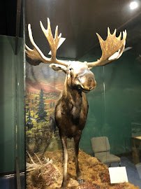 Montgomery Zoo & Mann Wildlife Learning Museum