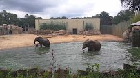 Montgomery Zoo & Mann Wildlife Learning Museum photo 2