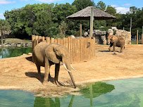 Montgomery Zoo & Mann Wildlife Learning Museum photo 4