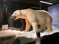 Montgomery Zoo & Mann Wildlife Learning Museum photo 5