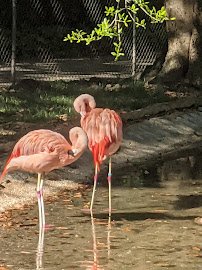 Montgomery Zoo & Mann Wildlife Learning Museum photo 6