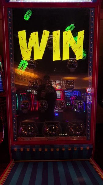 Hi-Vi Arcade photo 6