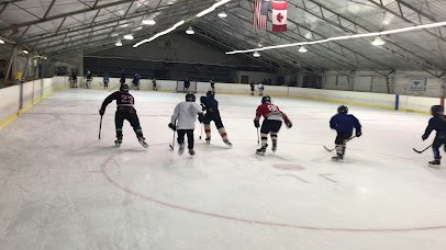 Ice Rink photo 2
