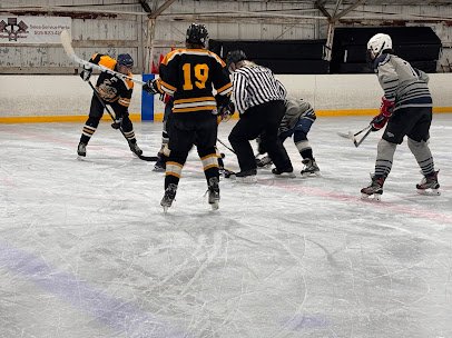 Ice Rink photo 3