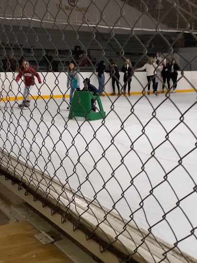 Ice Rink photo 4